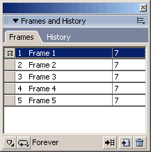 Frame Paneli