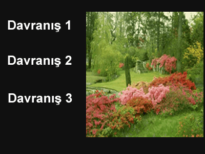 Davranış Ekleme